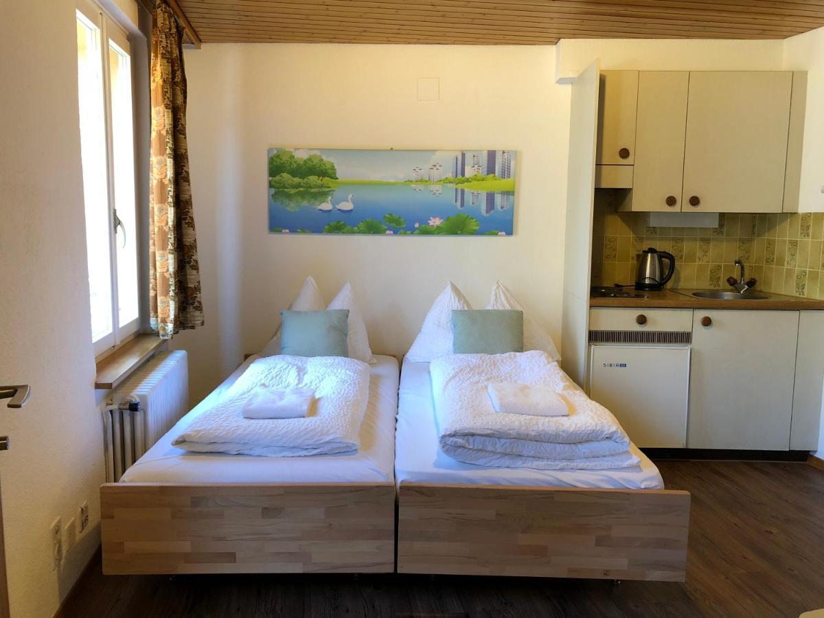 Central Beauty Scenery Apartment Interlaken Luaran gambar